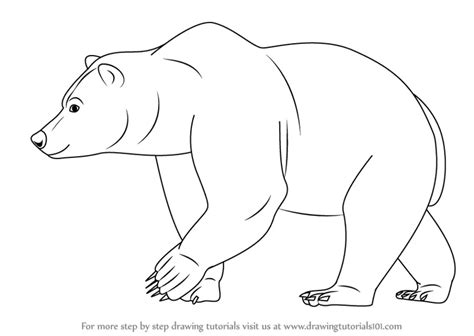 Learn How to Draw a Brown Bear (Wild Animals) Step by Step : Drawing ...