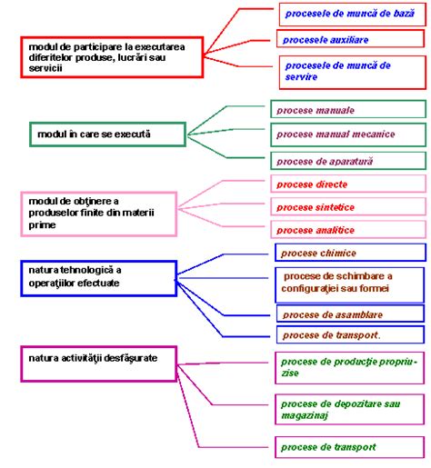 Proces de productie . Tipuri de productie