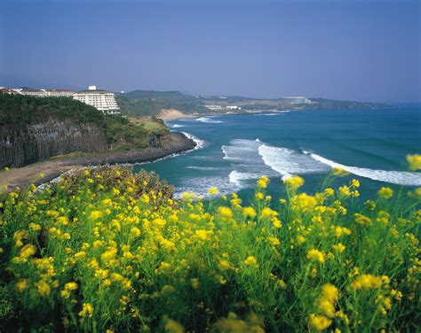 Jeju Island Strives to Become Carbon-Free Jeju is going green ...