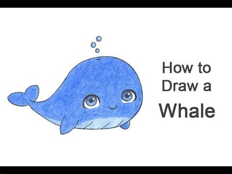 How to Draw a Whale (Cartoon) - YouTube