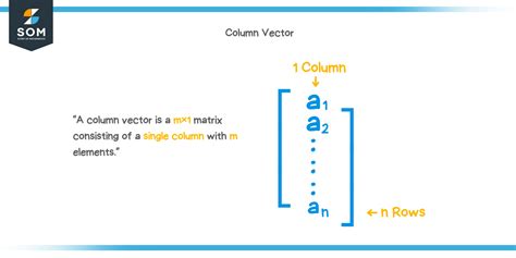 Column vector - Explanation & Examples