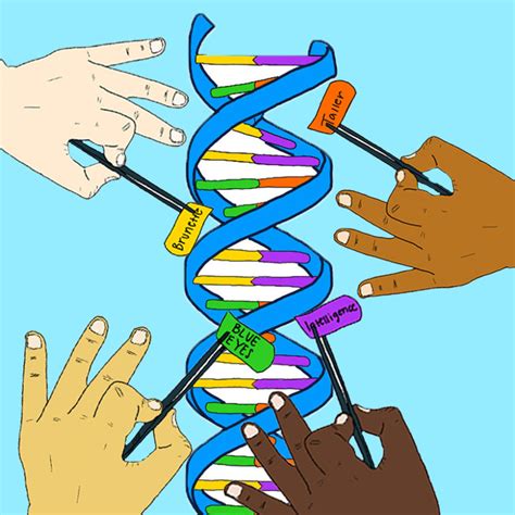 Human Gene Editing Questions Ethics In Medicine – Raider Echo