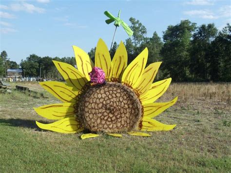 33 best Hay bale art images on Pinterest | Hay bales, Straw bales and ...