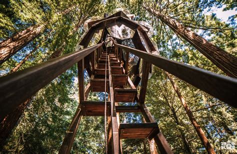 Pinecone-shaped treehouse provides 360 -degree views of Redwood forest