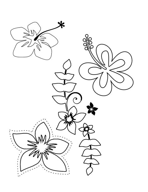 Tropical Flower Coloring Pages - Flower Coloring Page