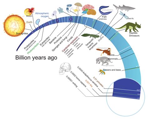 Evolution Courses: Learn the Origin of Species - Earth How