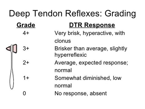 Dtr Grading