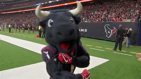 UNMASKING TORO: Meet the person behind the Texans mascot - ABC13 Houston