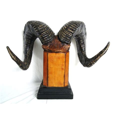 Mounted Dahl sheep horns - 21" w 16" h w stand