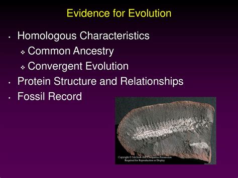 Evolution. - ppt download