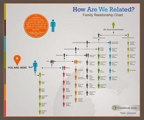 Olive Tree Genealogy Blog: A Relationship Calculator Helps with DNA Matches