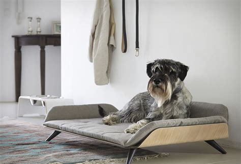 Modern Pet Furniture For Discerning Dogs, Cats And Their Owners