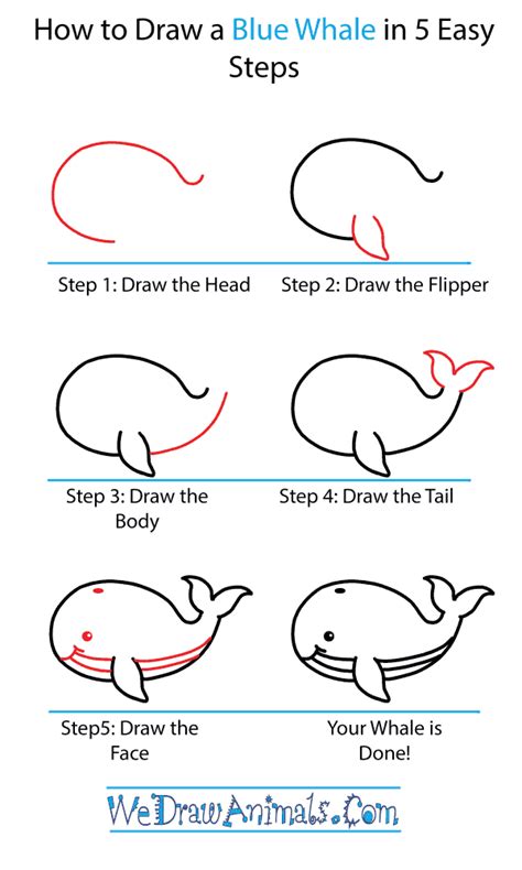 How to Draw a Cute Blue Whale