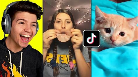 The FUNNIEST TIK TOK MEMES Compilation - YouTube