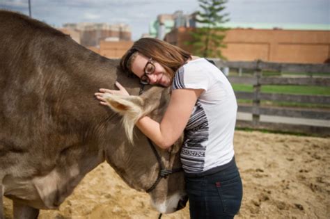 WATCH: Cow-Hugging, The Latest Anxiety Therapy