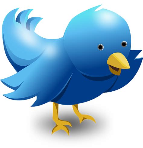 Free vector graphic: Twitter, Tweet, Bird, Funny, Cute - Free Image on Pixabay - 117595