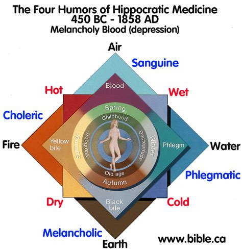 Four Humors Ancient Greek Medicine - MedicineWalls