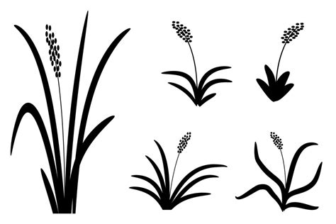 vector grass black and white set 6263886 Vector Art at Vecteezy