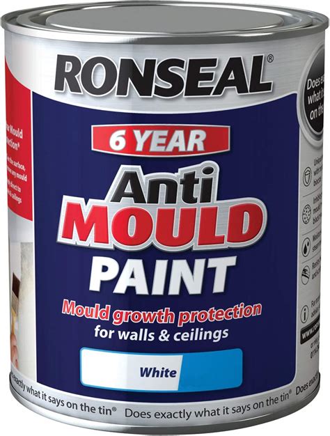 5 Best Anti Mould Paints Reviewed (2022) - Best Paint For