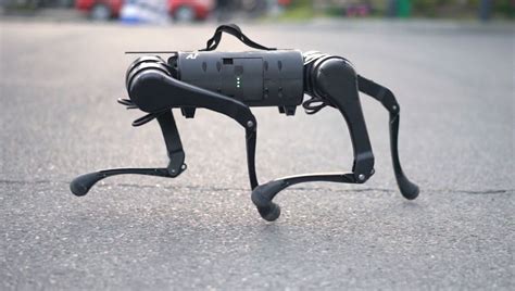 Video Showing "Robot Army" Of Dogs Released By Chinese Robotics Company | IFLScience