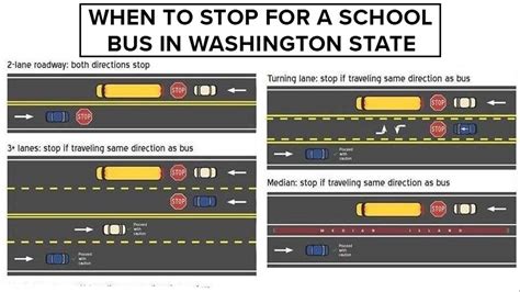 When should I stop for a school bus in Washington state? | krem.com