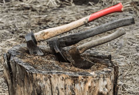 Hatchet vs Axe Explained: Comparing These Distinct & Useful Tools - The Forestry Pros