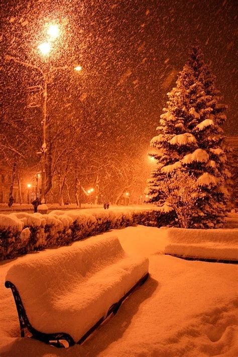 Heavy Snow Falling Pictures, Photos, and Images for Facebook, Tumblr, Pinterest, and Twitter