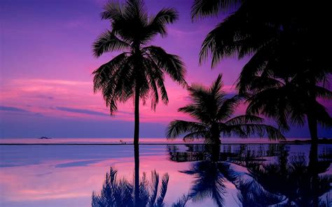 Purple Sunset Wallpapers - Wallpaper Cave