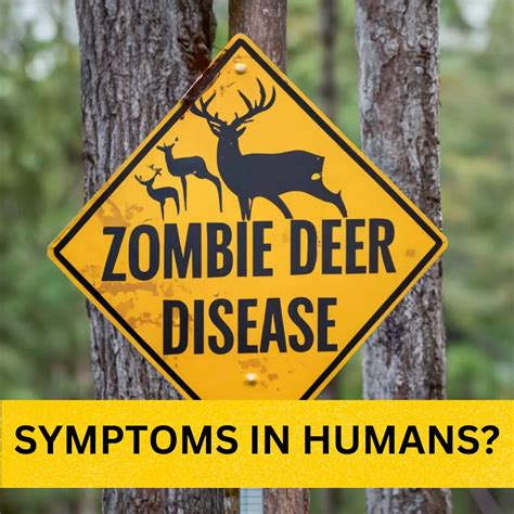 Zombie deer disease: Symptoms and Precautions! Latest Updates