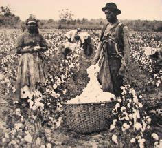 Slaves working in cotton fields Black History Month, Eli Whitney ...