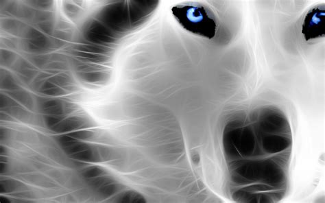 Neon Wolf Wallpapers - Wallpaper Cave