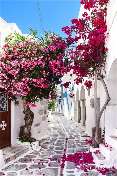 17 SPECTACULAR Hotels in Paros, Greece: 2024 Guide