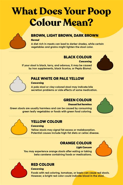 Understanding Poop Color Meaning: Gut Health from Your Stool