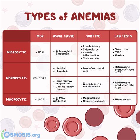 Pernicious Anemia: What It Is, Causes, Signs, Symptoms, And, 46% OFF