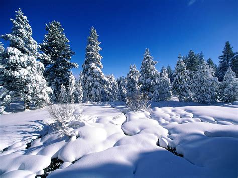 wallpaper: Snow Wallpapers