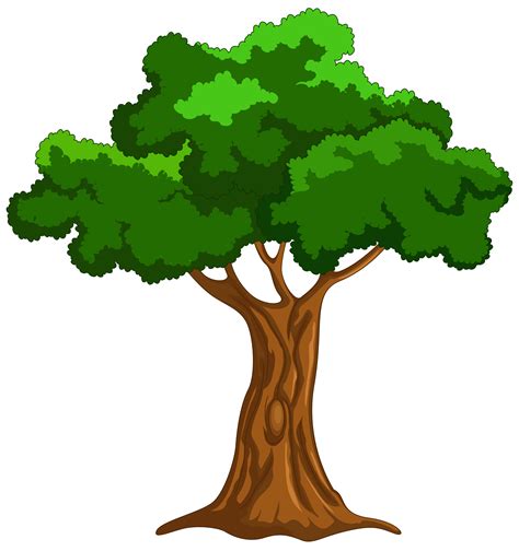 Cartoon Tree Png Clipart Cartoon Trees Tree Cartoon Images Tree Drawing | Images and Photos finder