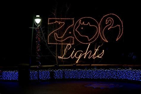 Portland Zoo Lights | Zoo lights, Portland zoo, Zoo