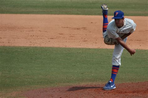 Gators baseball | Baseball, Baseball field, Gator