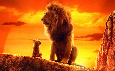 3840x2400 The Lion King 2019 4k Movie 4K ,HD 4k Wallpapers,Images ...