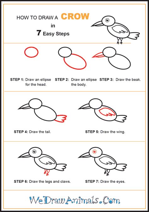 How to Draw a Simple Crow for Kids