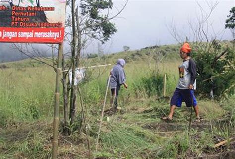 Otsuka | TREATMENT AND CULTIVATION OF ”CEMARA ANGIN” AT MOUNT ARJUNO Jawa Timur, 20 May 2016