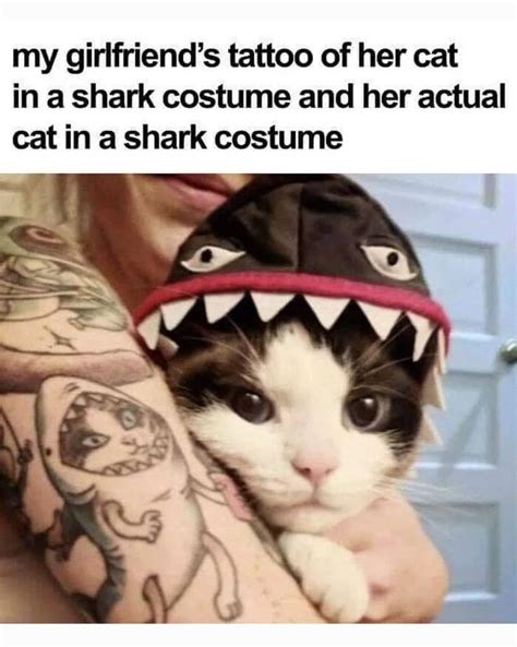 girlfriend's tattoo of her cat on her arm in a shark costume, funny cat memes, #catmemes # ...