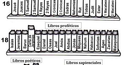 Reflejos de Luz: Los libros de la Biblia