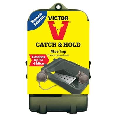 Victor Multi-Catch Live Mouse Trap-M333 - The Home Depot