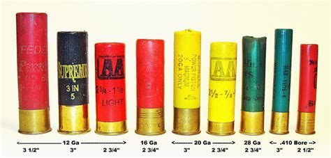 Shotgun Shot Sizes and Drams Explained