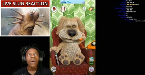 live slug reaction : memes