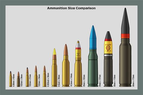 Rifle Ammunition Chart Size Pin On Hunting