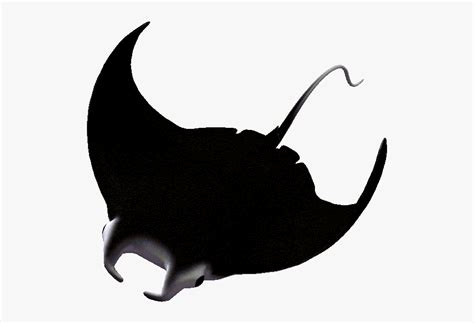 Transparent Manta Ray - Manta Ray Silhouette Png , Free Transparent Clipart - ClipartKey