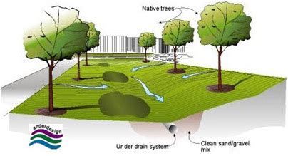 Define Drainage Swale - Best Drain Photos Primagem.Org