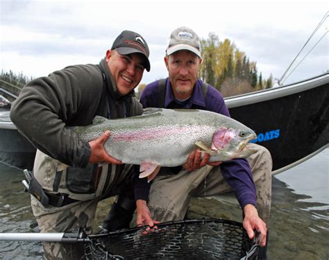 Fly Fishing rainbow trout on the Kenai River